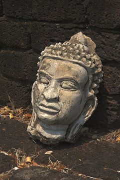 Tête de Bouddha sur Gert Hofman