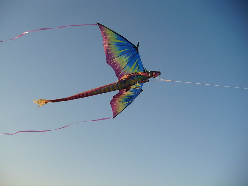 kite von Desiree Barents