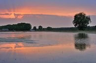 Breeschoterplas van Willem van Leuveren Fotografie thumbnail