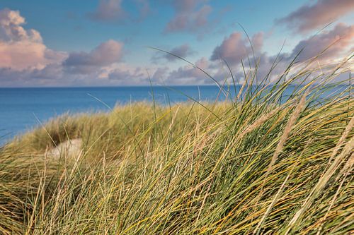 Dune de sable à la mer Baltique