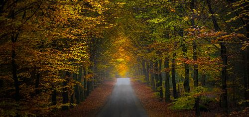 Herfst scene panorama