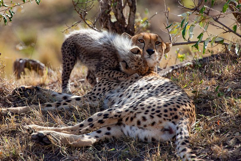 sich kümmern von Peter Michel