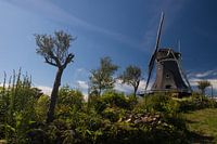 Garten der Mühle De Korenaar in Sexbierum