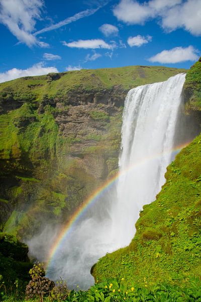 Wasserfall Skogafoss, Island von Jan Fritz
