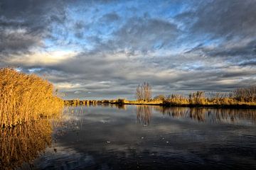 Reflecties In Waterland van Peter Bongers