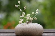 Stillleben mit Vase und Zweig von anne droogsma Miniaturansicht