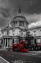 Roter Bus an der St. Paul's-Kathedrale, London von Nynke Altenburg Miniaturansicht