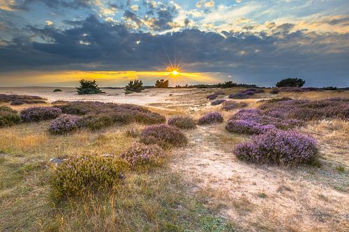 Zonsondergang boven stuifzand in Nationaal Park de Hoge Veluwe