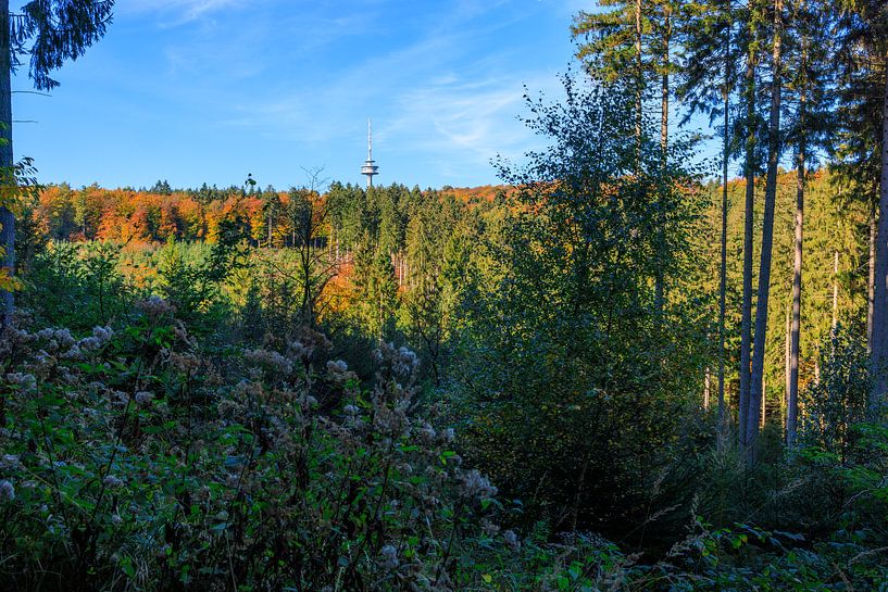 the television tower is enthroned on the deister by Horst Husheer