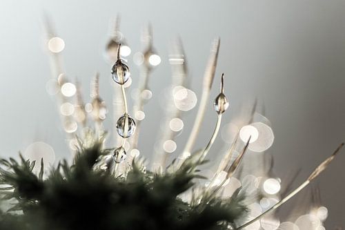 Wassertropfen von Annet van Heijster