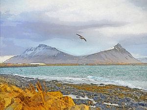 Am Strand in Akranes, Island