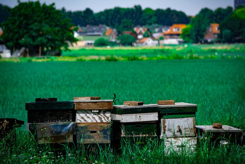 Bijenkasten by Michael van Eijk