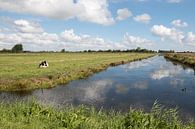 polder landschap met een rustende koe en stapelwolken van W J Kok thumbnail
