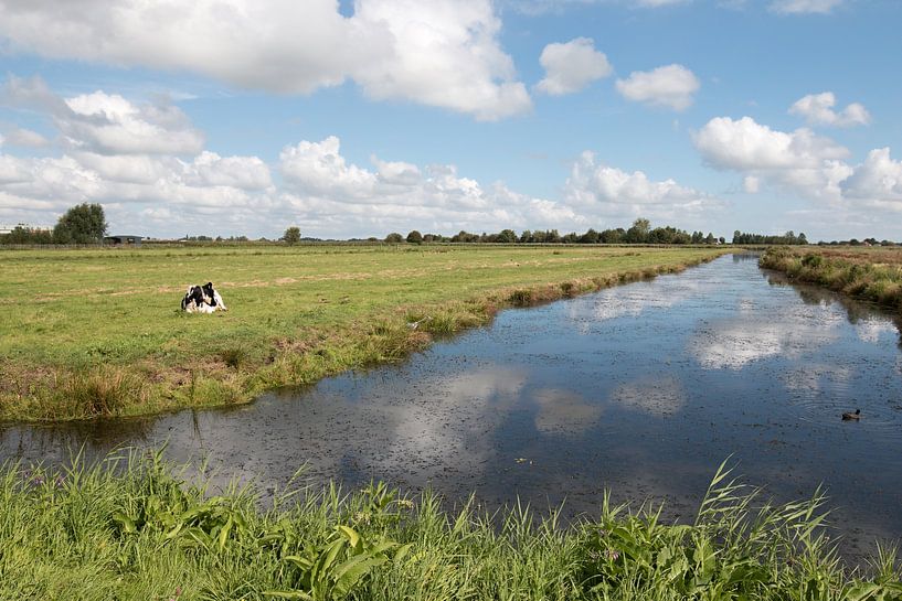 polder landschap met een rustende koe en stapelwolken van W J Kok