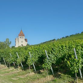 Kreuzkapelle am Wißberg,Weinregion Rheinhessen von Peter Eckert