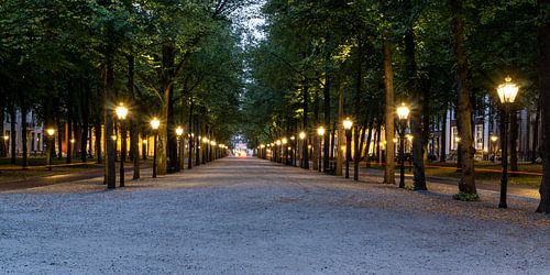 Lange Voorhout The Hague
