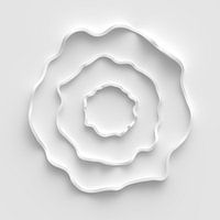 White Blossom