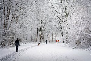 Wandeling in de sneeuw.