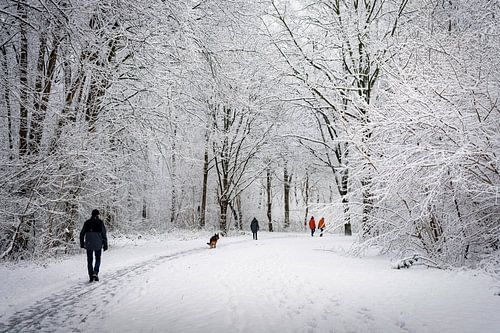 Spaziergang im Schnee. von Alie Ekkelenkamp