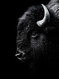 Bison - Un profil latéral puissant en noir et blanc sur drdigitaldesign