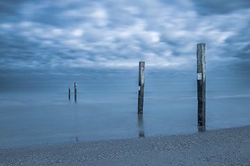 Strandreservaat Noordvoort van Yanuschka Fotografie | Noordwijk