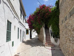 Village de Majorque