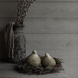 Rural still life with stone doves and willow catkins by Mayra Fotografie