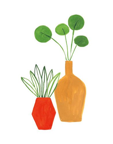 Potken II, Farida Zaman