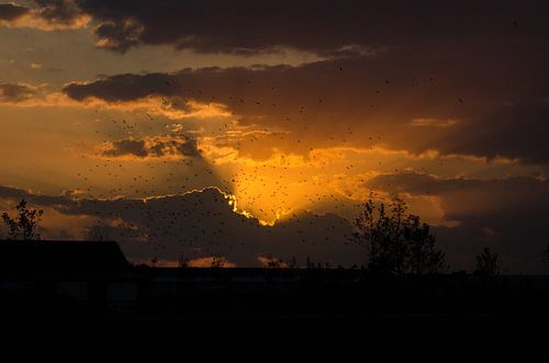 Zonsondergang van Cor Bak