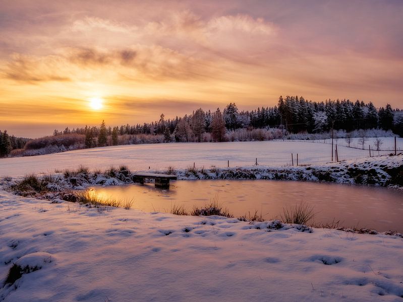 Winter Sunset von Alexander Dorn