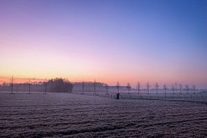 Frozen field by Johan Vanbockryck