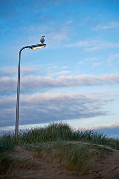 Beach De Koog by Mariska Hofman