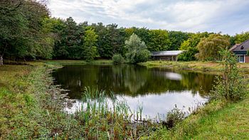 Le banc de sable Crailo