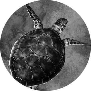 Schildpad van Walljar