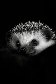 Igel von Poster Art Shop