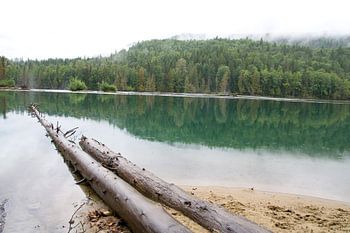 Wells Grey National Parc Canada