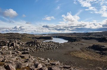 Landschap bij Selfoss Waterval, IJsland van Thomas Marx