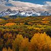 San Juan Mountains Autumn Photo - Colorado Fall Colors Landscape Fine Art by Daniel Forster