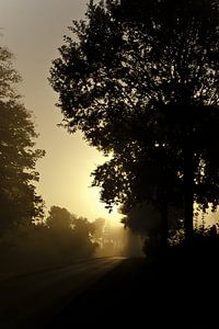 Morgennebel über einer Strasse
