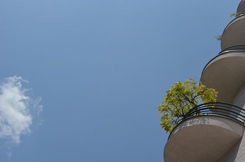 Ein Schritt näher und ich springe vom Balkon von Mariann Makrai