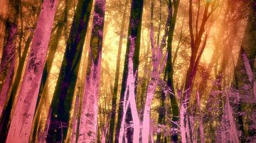 Magic Forest in perzik en roze van FRESH Fine Art