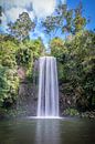Der berühmte Millaa Millaa-Wasserfall in Nord-Queensland von Erwin Blekkenhorst Miniaturansicht