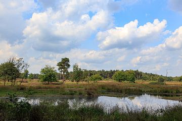 Overasseltse- and Hatertse Marsh von Robert Wiggers