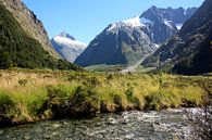 Milford Sound, Nieuw Zeeland von Pamela Fritschij Miniaturansicht