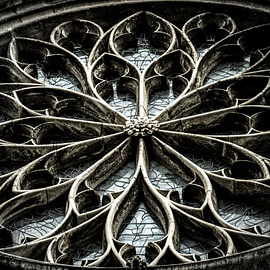 Cathédrale n° 03 sur The Olm