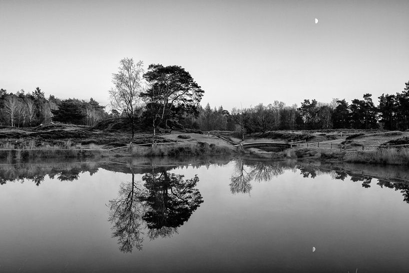 Die Landschaft von Bornia Heidestein von Hans de Waay