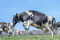 springende Kuh von Vera van Praag Sigaar Miniaturansicht