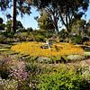 The Wittenoom floral clock by Frank's Awesome Travels