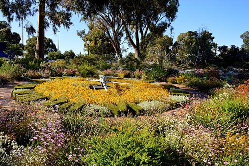 De Wittenoom bloemenklok