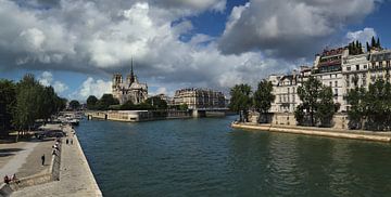 Seine en Notre Dame in Parijs